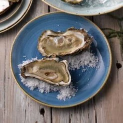 Churchill Stonecast Cornflower Blue Coupe Plate 8.5" / 21.7cm